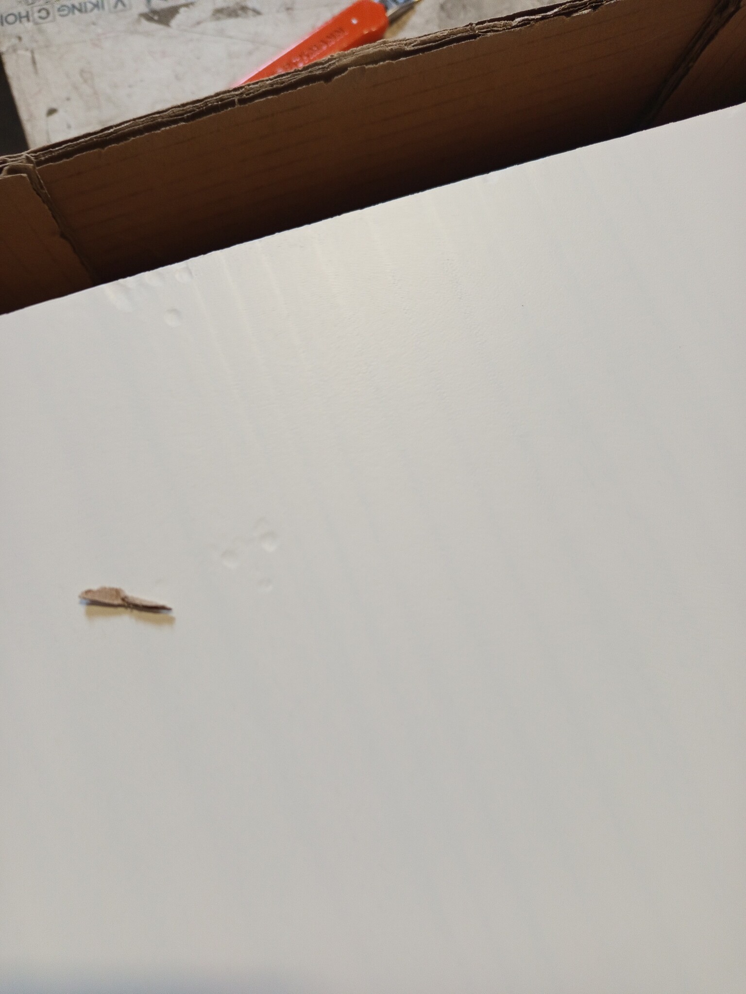 VidaXL Ladekast MOSS Wit Grenenhout - 55% Korting!