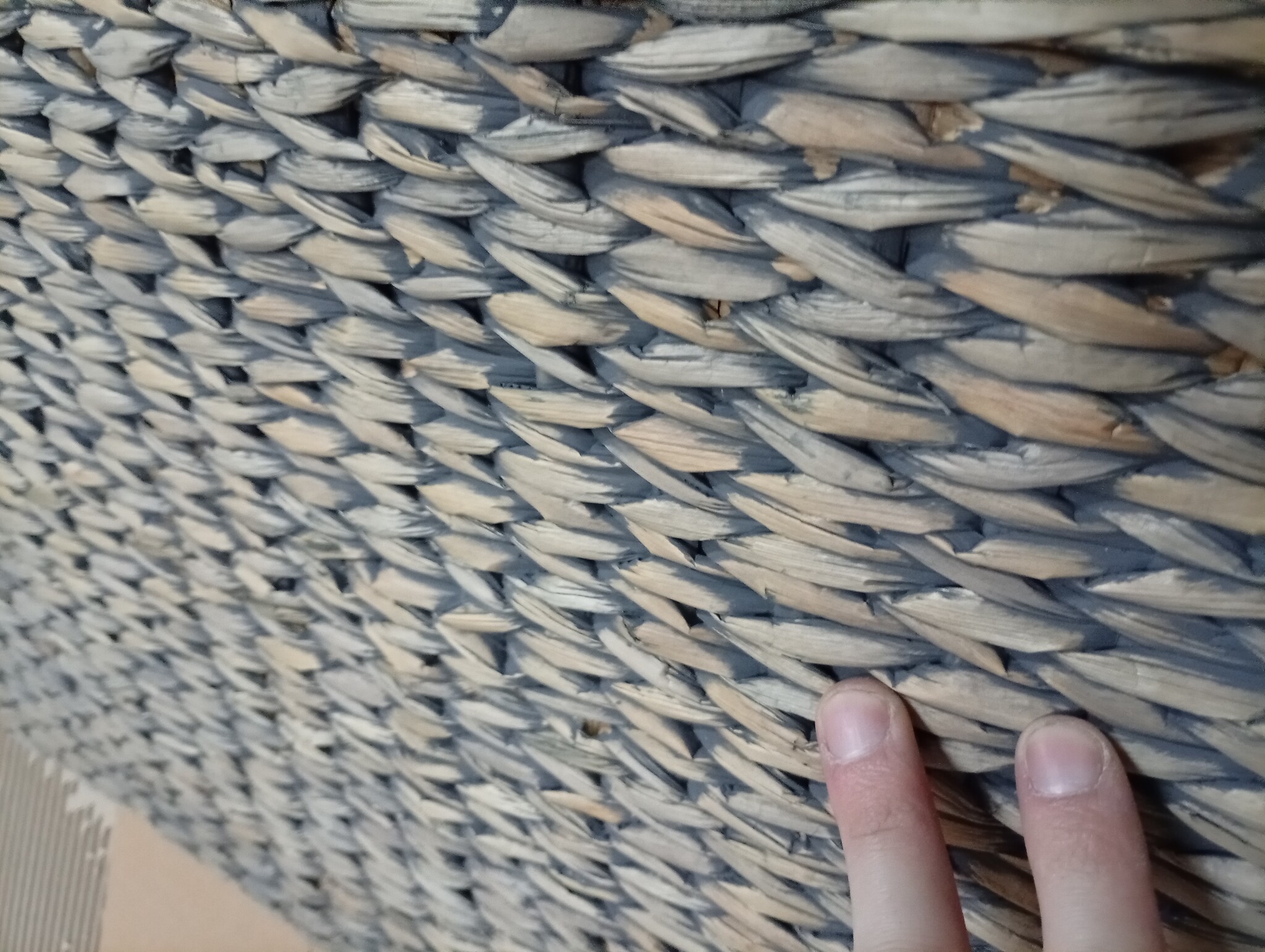 vidaXL Bankje met 2 Poefs Zeegras (Grijs Kussen) - 55% Korting!