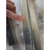 vidaXL Barrièrestangen (3 stuks) - 710-1200mm - 55% Korting!