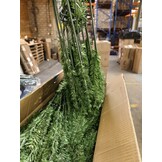 Kunstkerstboom 240 cm - Uitvouwsysteem - 40% Korting | Goede Staat