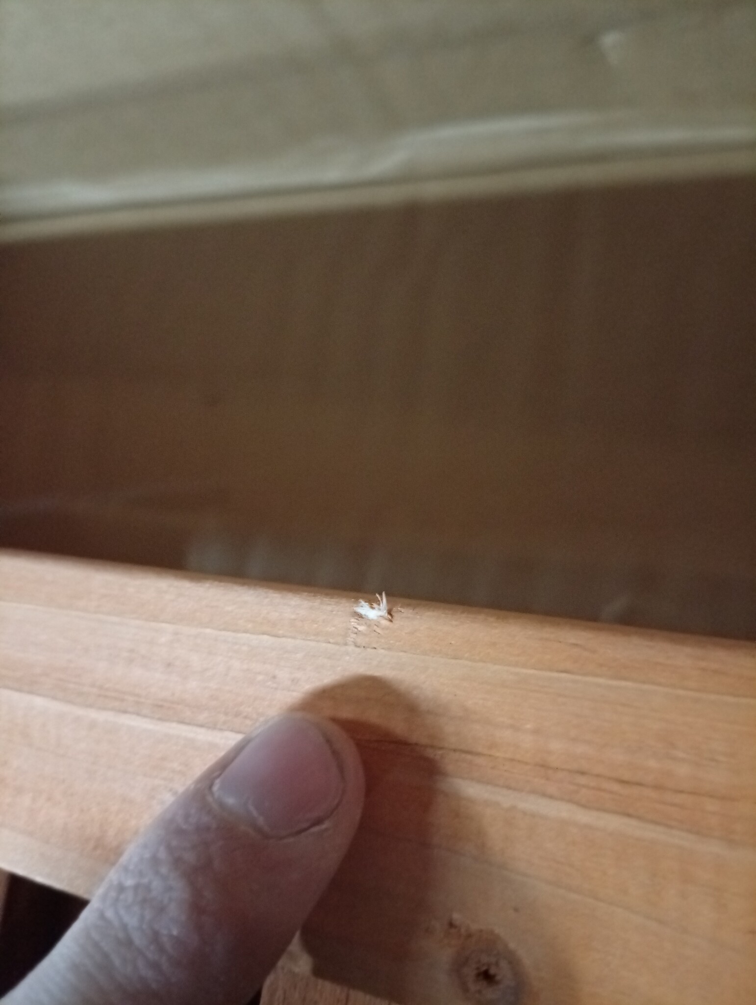 VidaXL Kamerscherm Vurenhout - 55% Korting! Licht Beschadigd