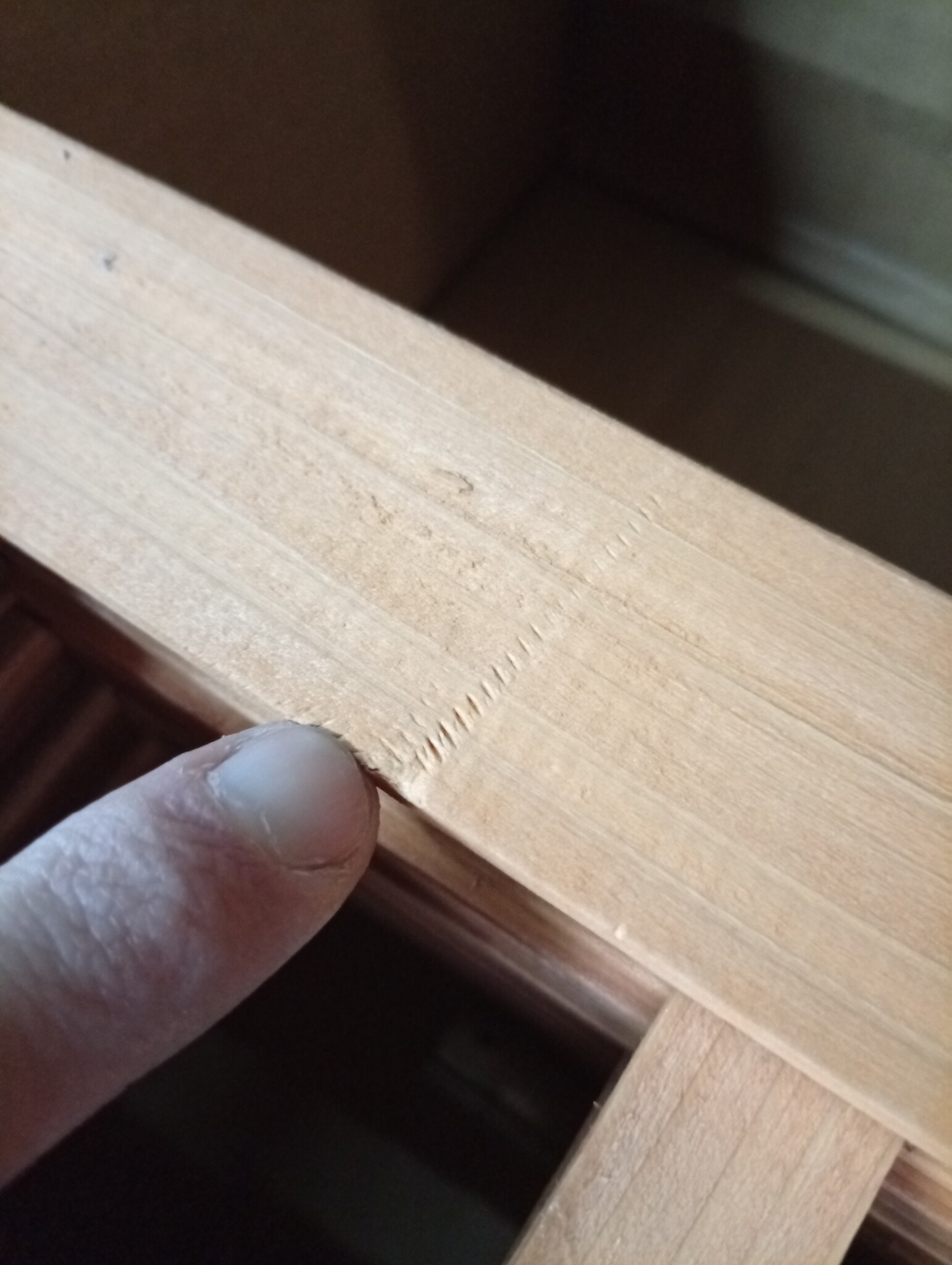 VidaXL Kamerscherm Vurenhout - 55% Korting! Licht Beschadigd