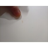 vidaXL Bedframe zonder matras massief grenenhout wit 75x190 cm