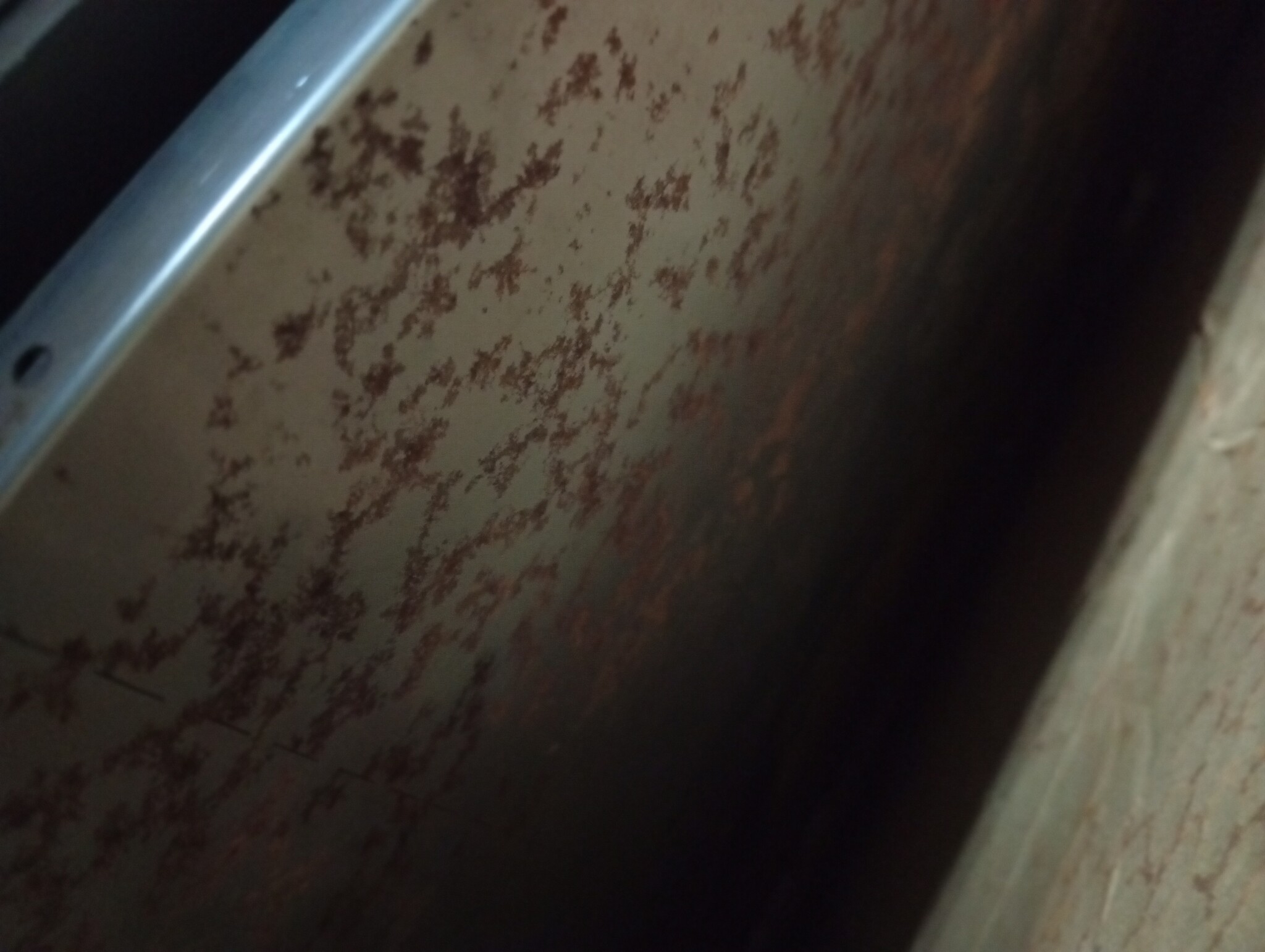 VidaXL Verhoogde Plantenbak Cortenstaal 360x80x40cm - 60% Korting!