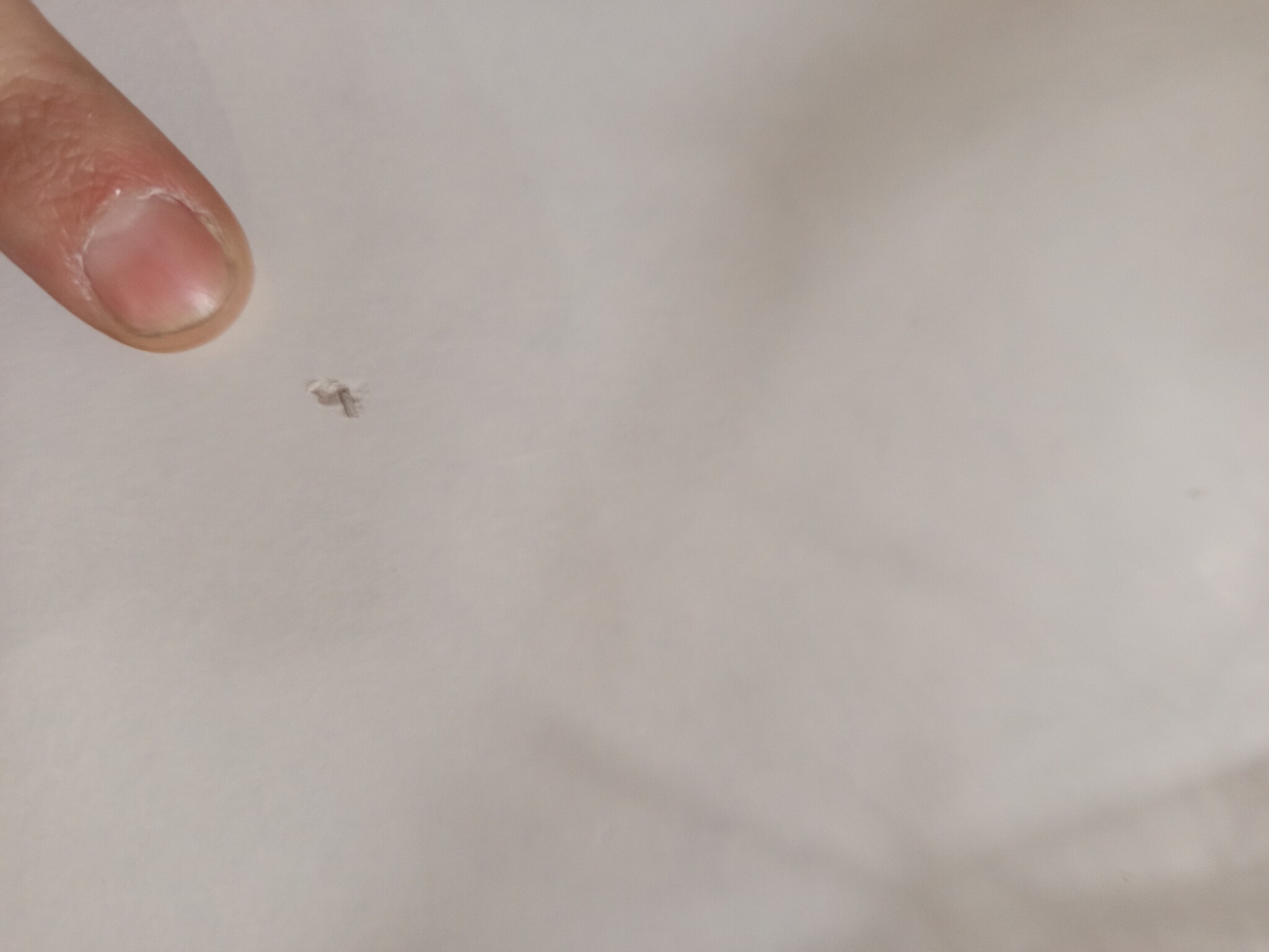 vidaXL Nachtkastjes 2 st 40x35x50 cm wit