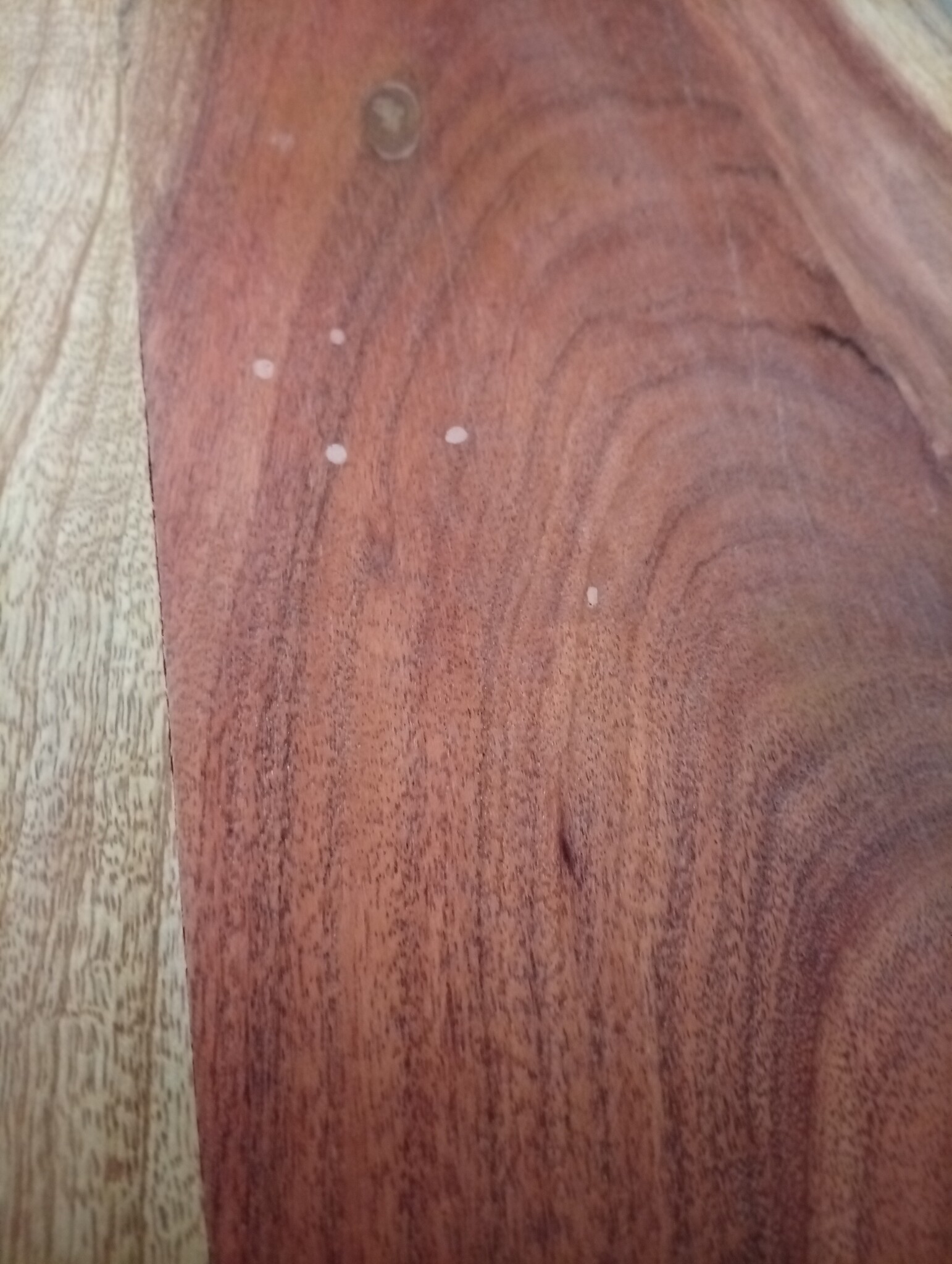 VidaXL Tafelblad Acaciahout 80x40cm - Natuurlijke Rand | 55% Korting!