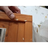 VidaXL Plantenbak met Latwerk - Massief Vurenhout Bruin - 55% Korting!