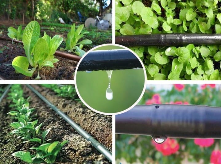 Druppelslang Irrigatiesysteem 100m Compleet - 60% Korting! Unieke Kans!