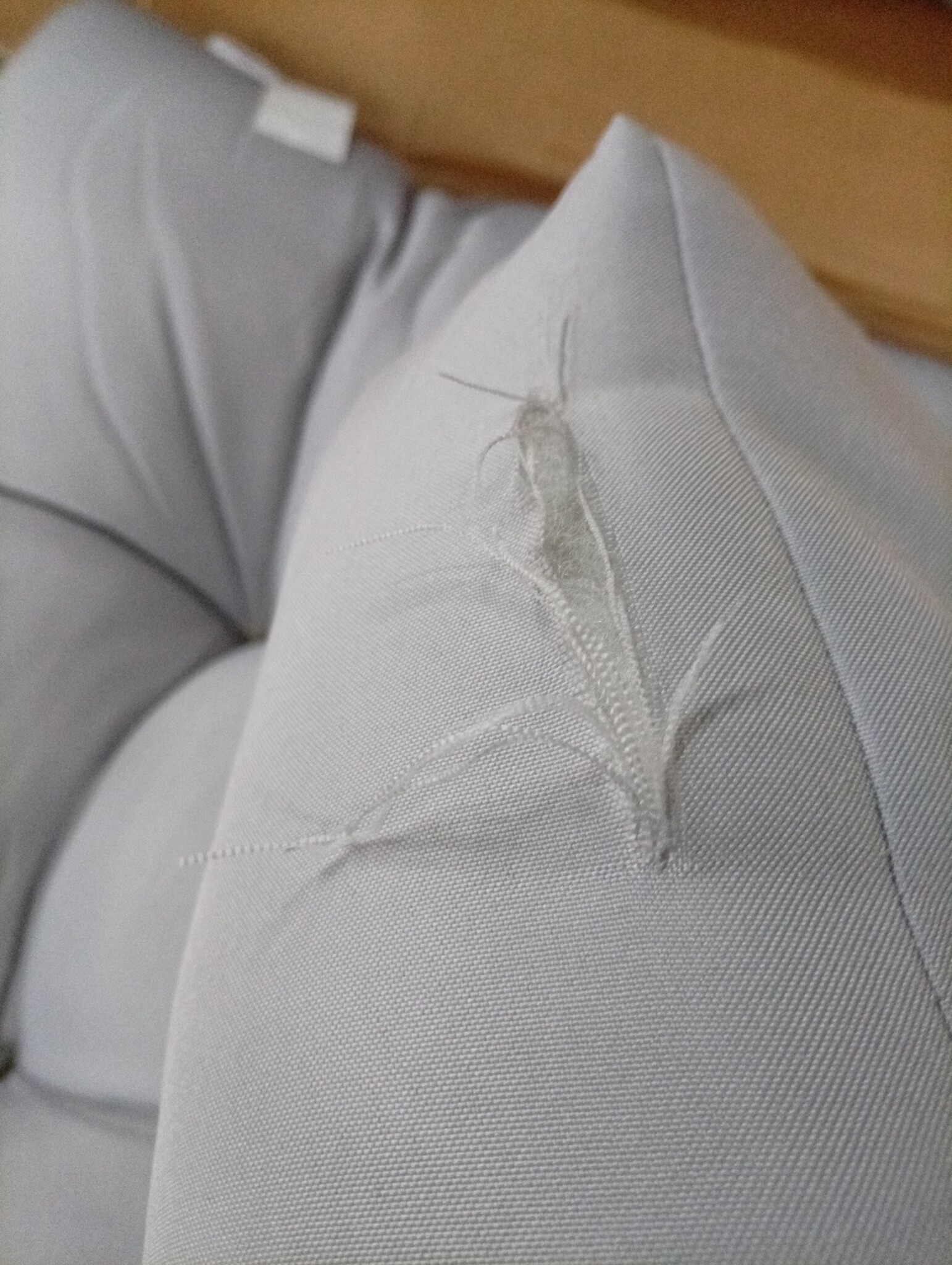 VidaXL 3-delige Loungeset Grenenhout, Grijs - 60% Korting!