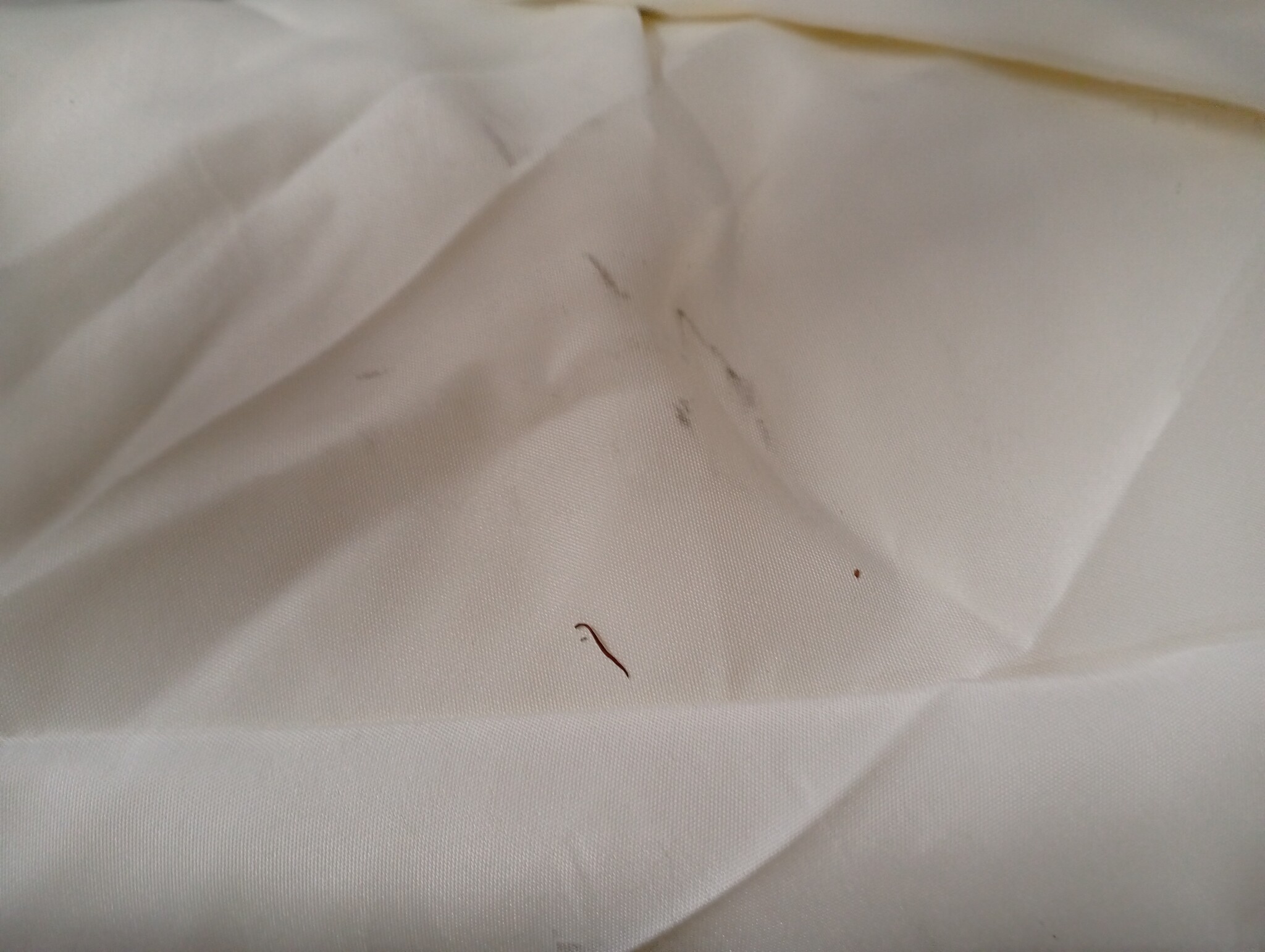 vidaXL Parasol 400x273cm Zandkleurig - 76% Korting! (Lichte Krasjes)