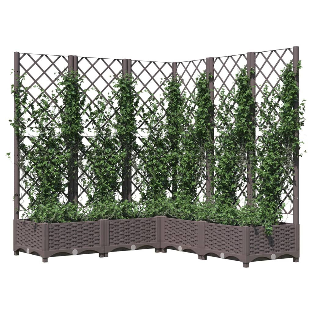 VidaXL Plantenbak Latwerk 120x120x121,5 cm Bruin - 60% Korting!