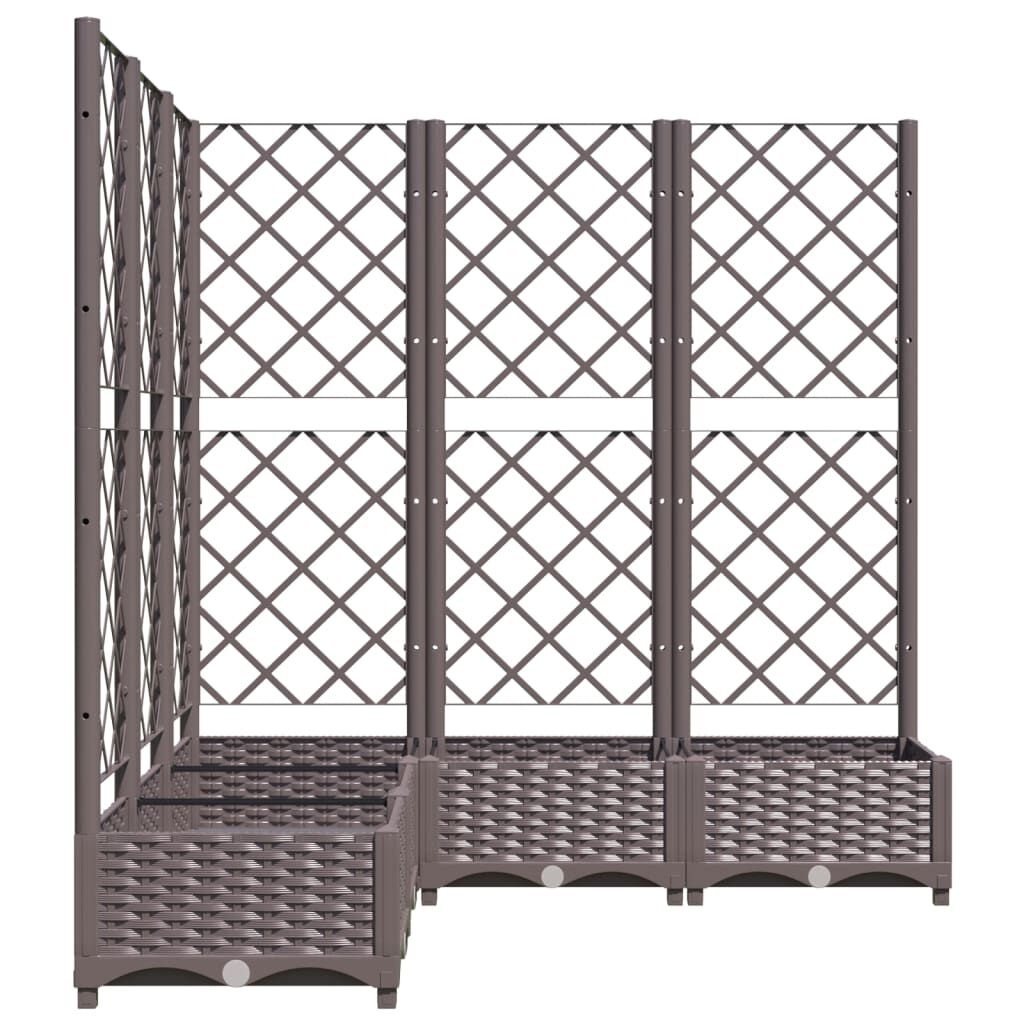 VidaXL Plantenbak Latwerk 120x120x121,5 cm Bruin - 60% Korting!