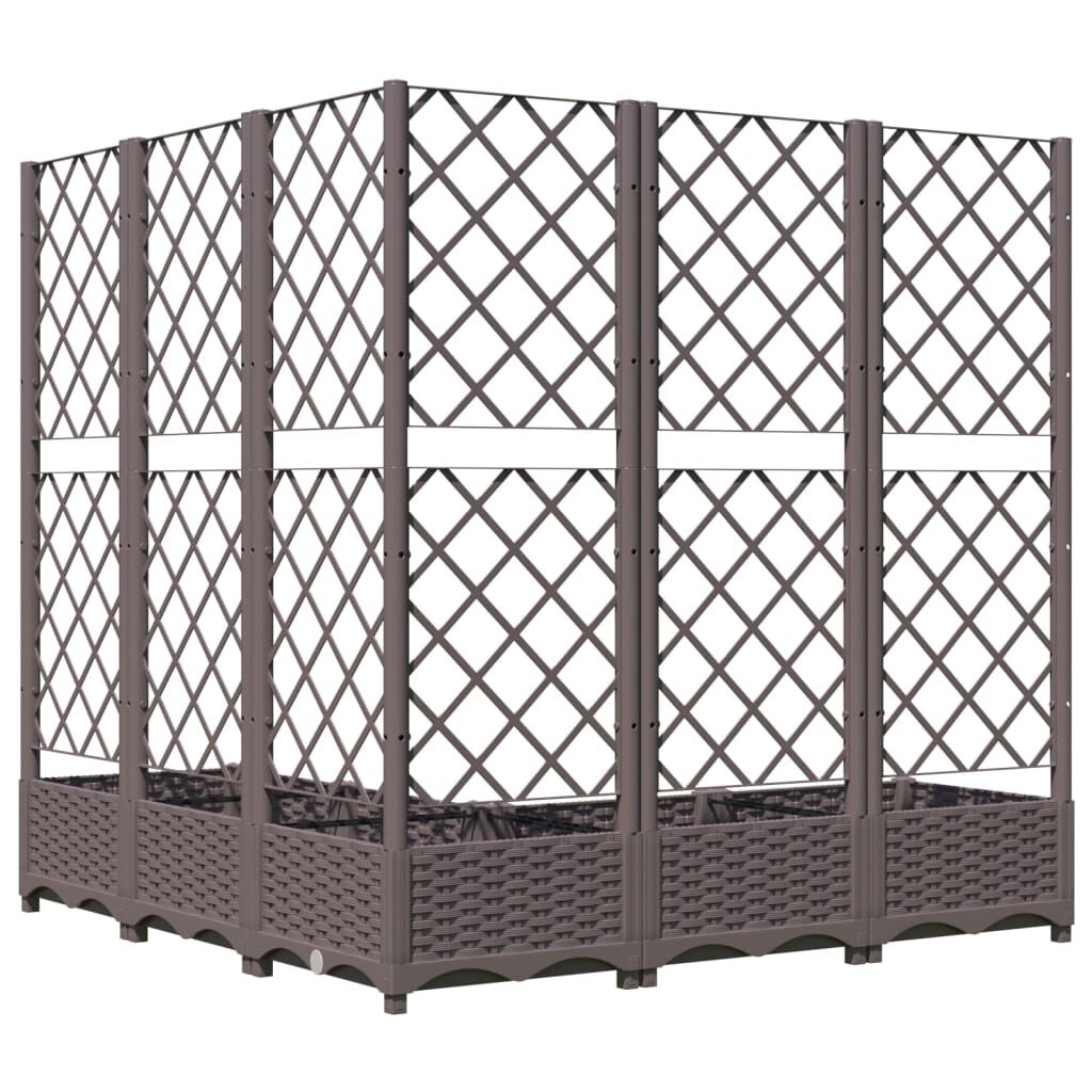 VidaXL Plantenbak Latwerk 120x120x121,5 cm Bruin - 60% Korting!