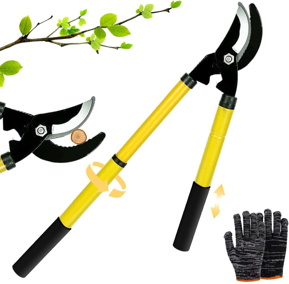 Telescopische Takkenrschaar - 40% Korting! Verstelbaar 42-61cm