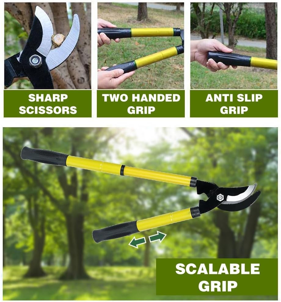 Telescopische Takkenrschaar - 40% Korting! Verstelbaar 42-61cm