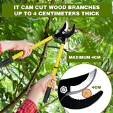 Telescopische Takkenrschaar - 40% Korting! Verstelbaar 42-61cm