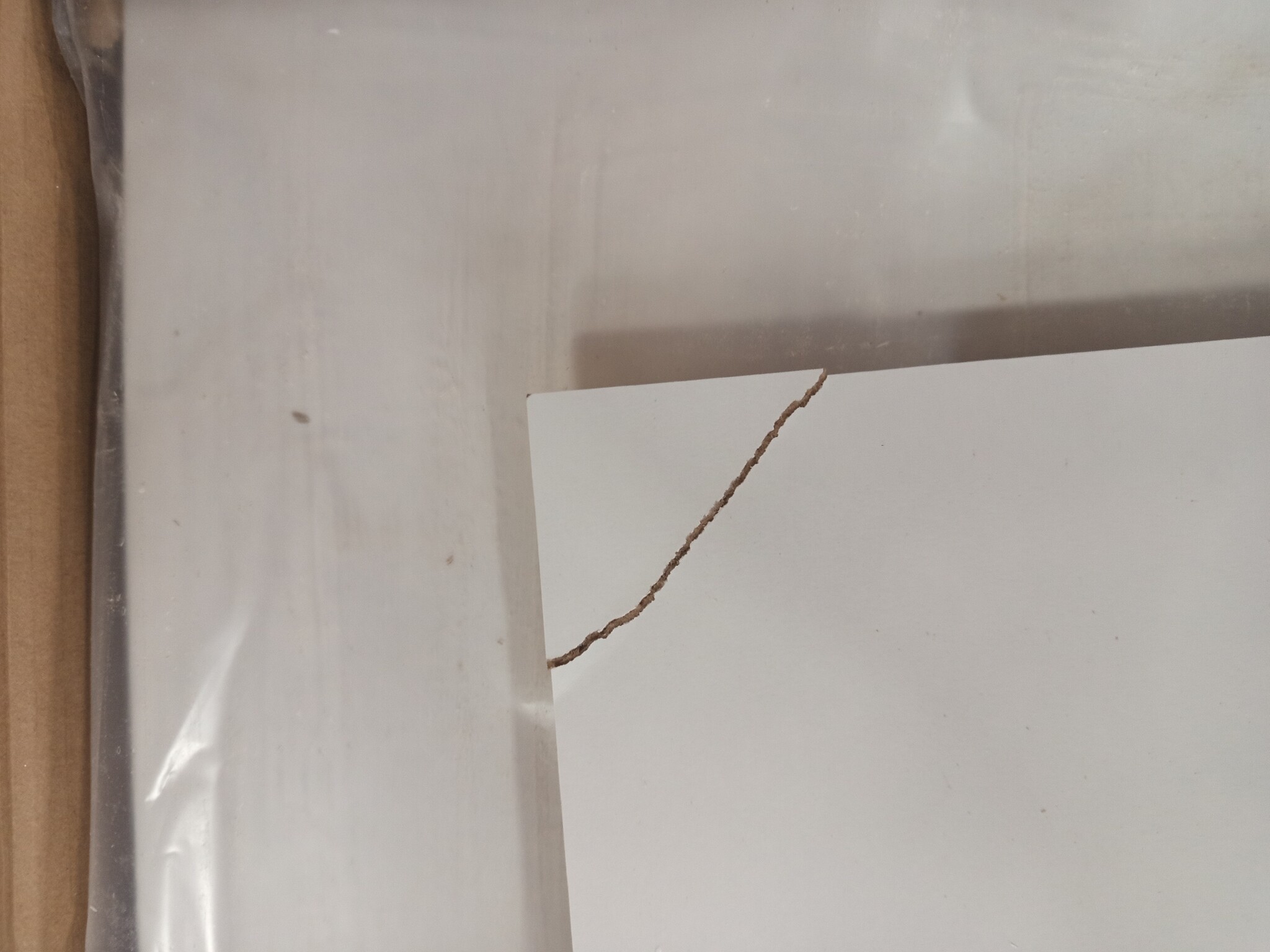 vidaXL Dressoir Wit 80x36x75 cm - 60% Korting