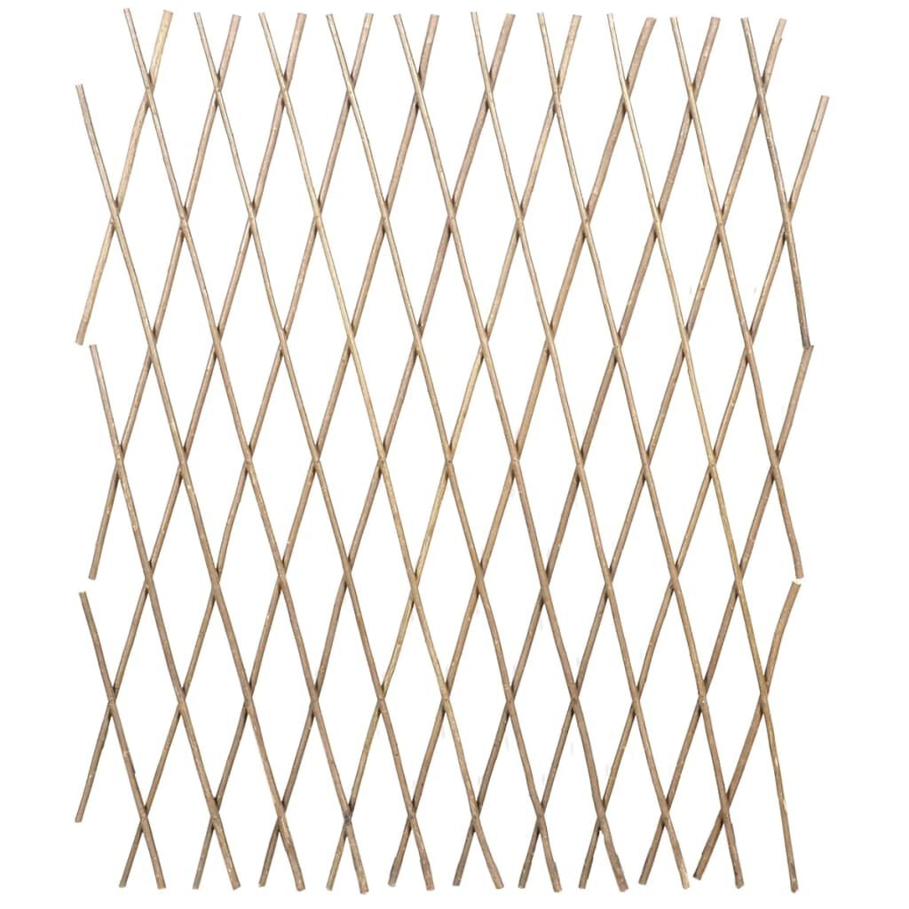 vidaXL Tuinlatwerk 5 st 180x90 cm wilg