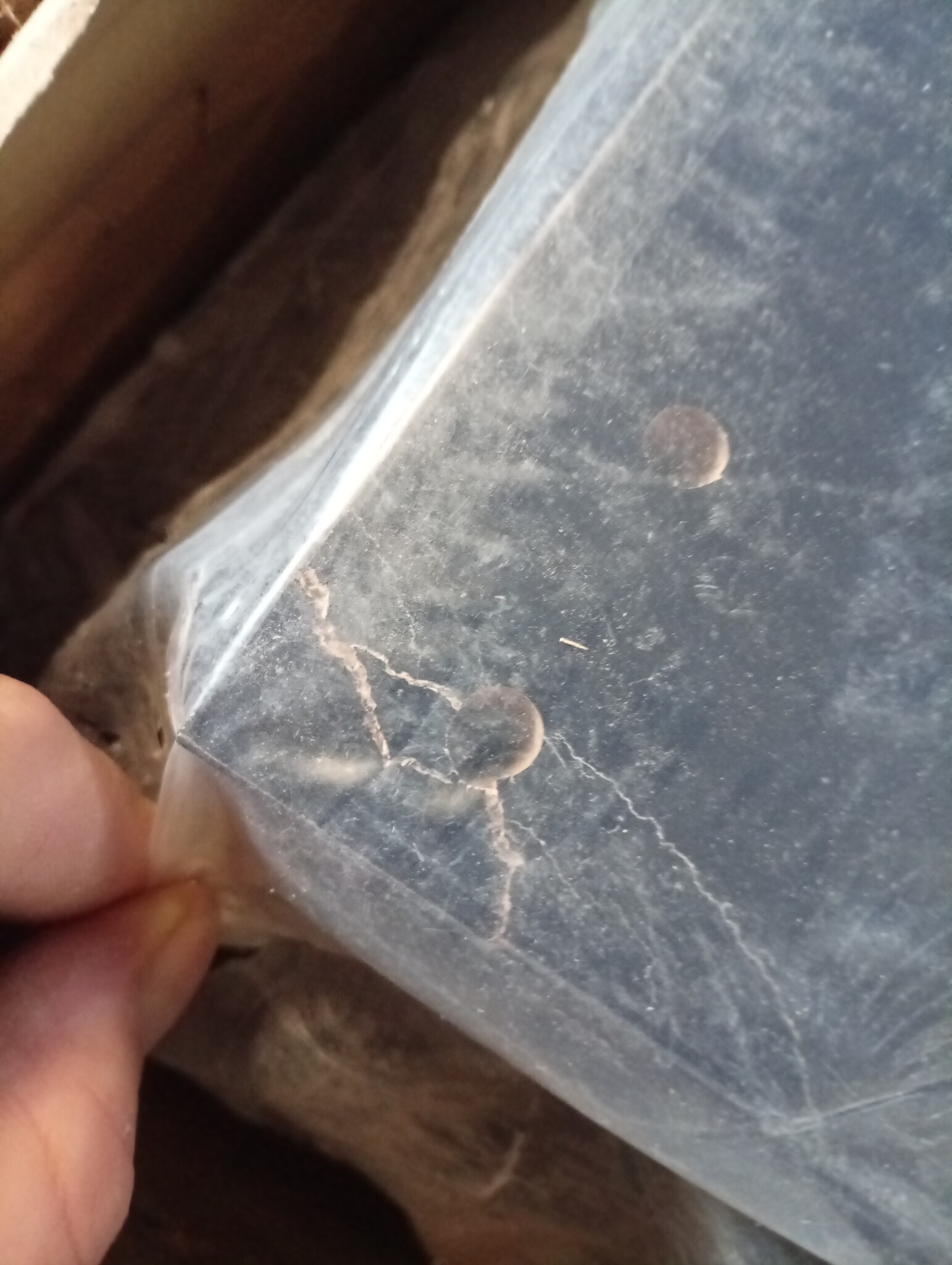 vidaXL TV-meubel Zwart 140x40x35,5 cm | 60% Korting