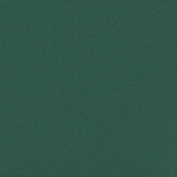 VidaXL Windscherm Uittrekbaar (40%) - 100x500cm Donkergroen