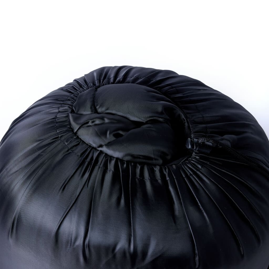 vidaXL Dubbele Slaapzak + 2 Kussens - 40% Korting!