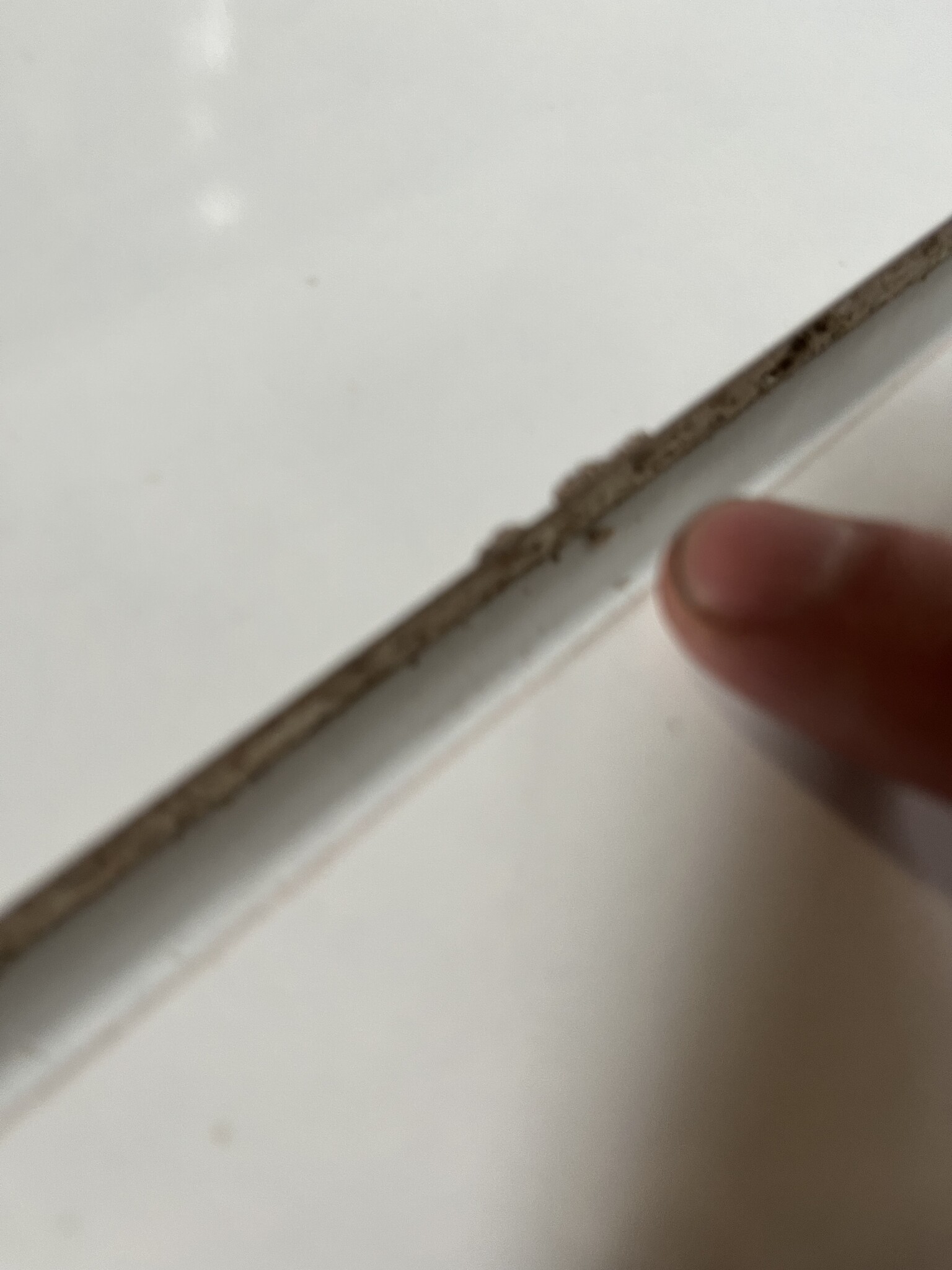 VidaXL Salontafel Hoogglans Wit - 100x49,5x31 cm - 55% Korting!