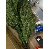 Kunstkerstboom 180 cm - Groen (40% Korting)