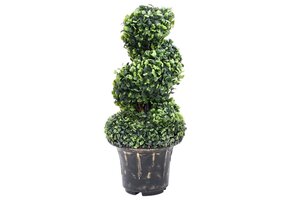 vidaXL Buxus Kunstplant Spiraal 59cm Groen - 40% Korting