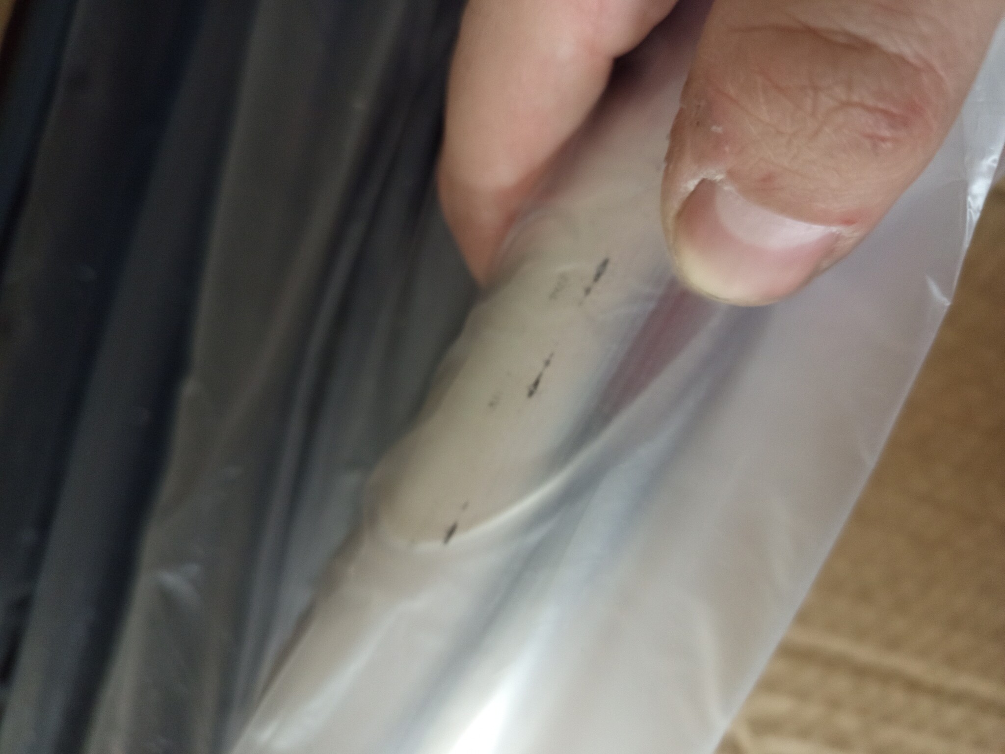 vidaXL Rolgordijn Buiten 100x270cm Crème - 70% Korting!