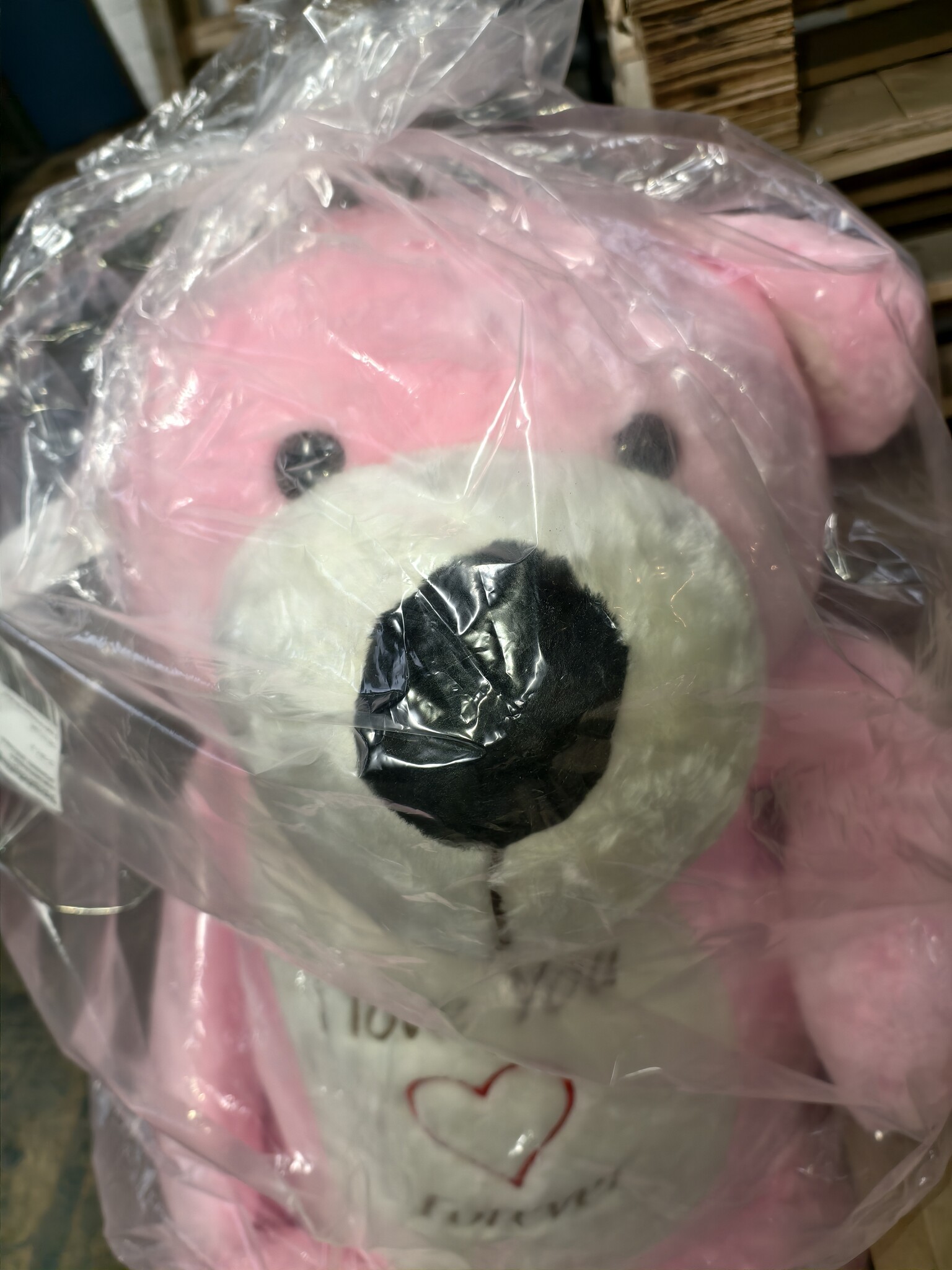 XXL Teddybeer (180 cm) - 67% Korting - Liefdescadeau