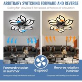 CANEOE Plafondventilator Zwart 65cm | 6 Snelheden | Dimbaar | -46%