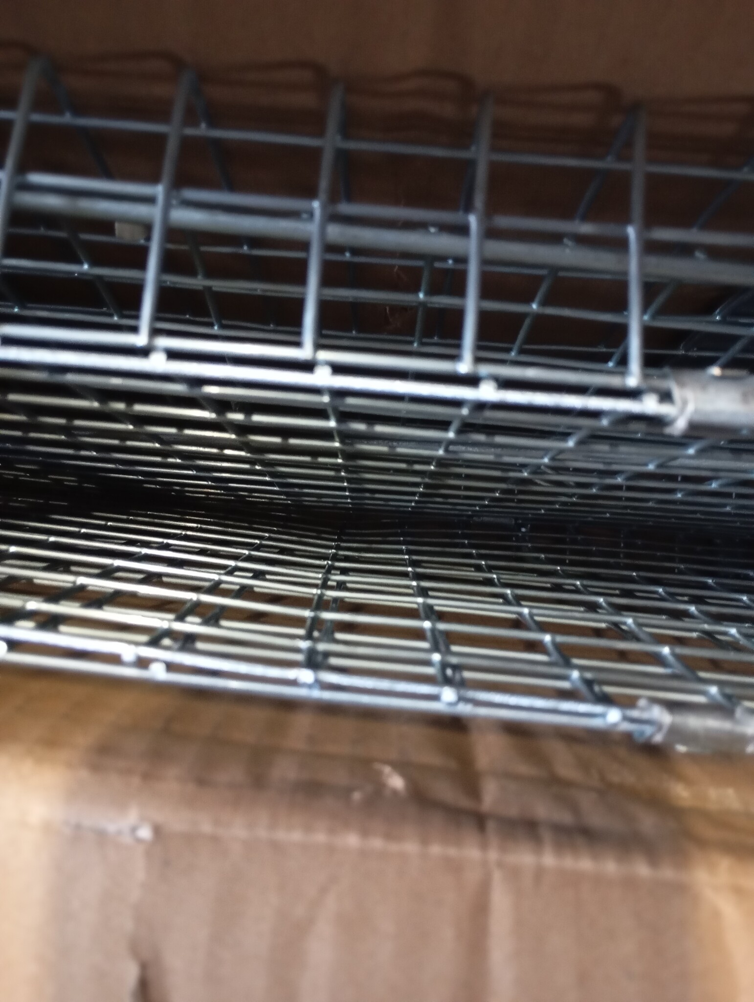 vidaXL Diervriendelijke Val 100cm - 60% Korting!