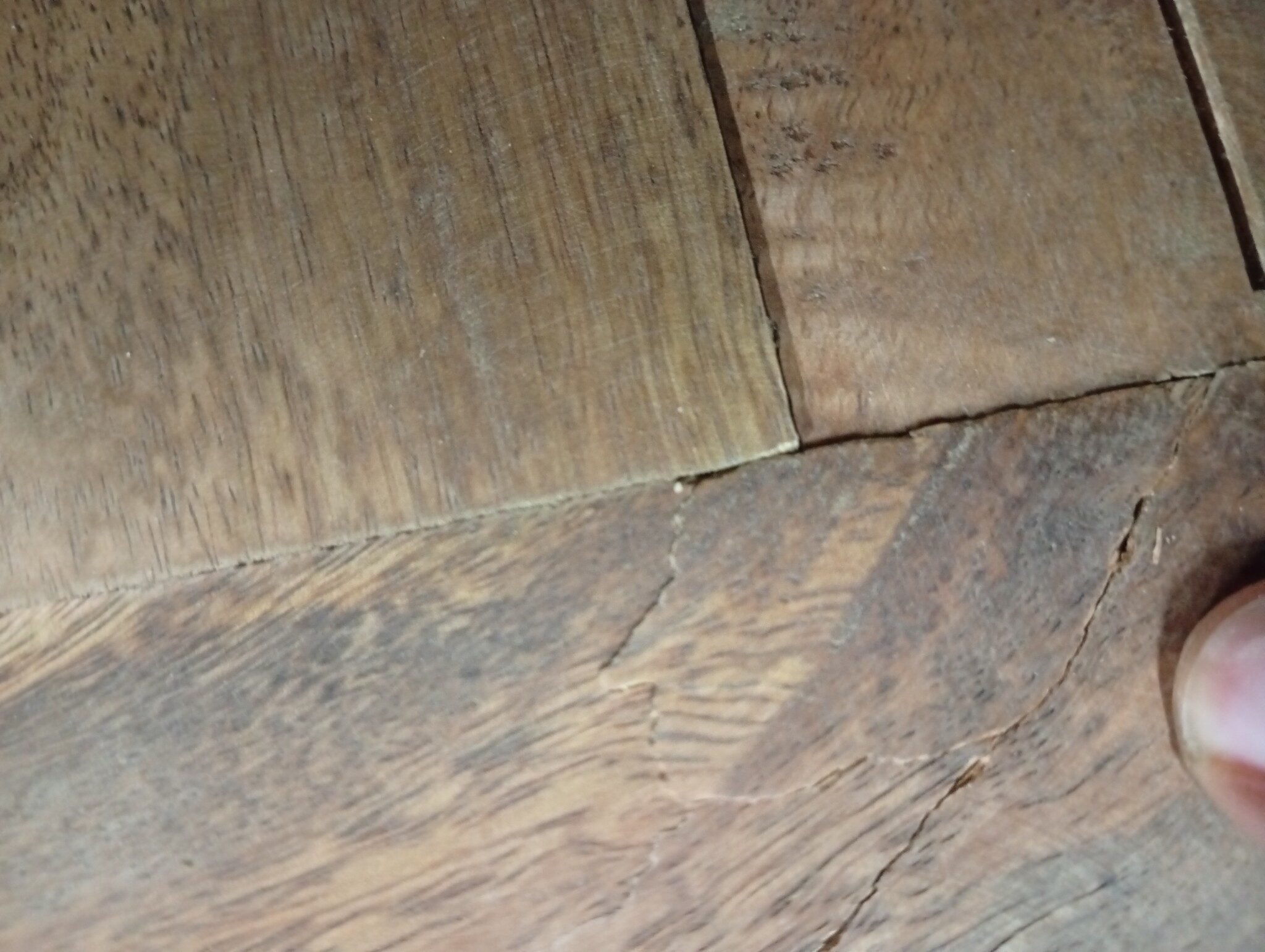 vidaXL Tafelblad Natuurlijke Rand - 100x80x3,8 cm Mangohout (60% Korting!)