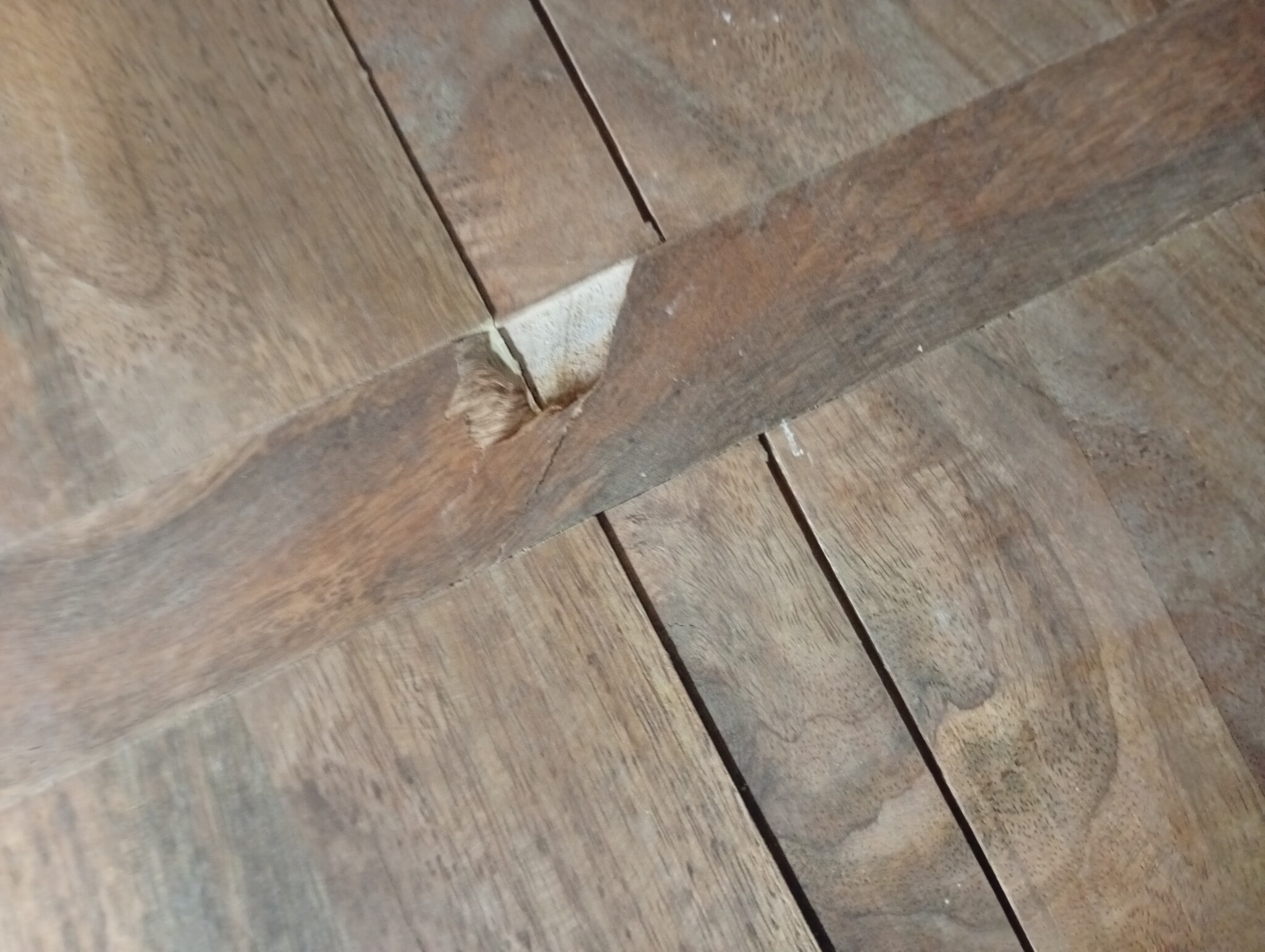 vidaXL Tafelblad Natuurlijke Rand - 100x80x3,8 cm Mangohout (60% Korting!)