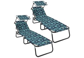 vidaXL Opvouwbare Zonnebed 2-persoon Groen - 64% Korting!