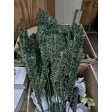 Kunstkerstboom 220 cm - Groene Spar (Geretourneerd)