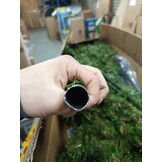 Kunstkerstboom 240 cm - Groene Spar - Retourproduct