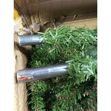 Kunstkerstboom 240 cm - Groene Spar - Retourproduct