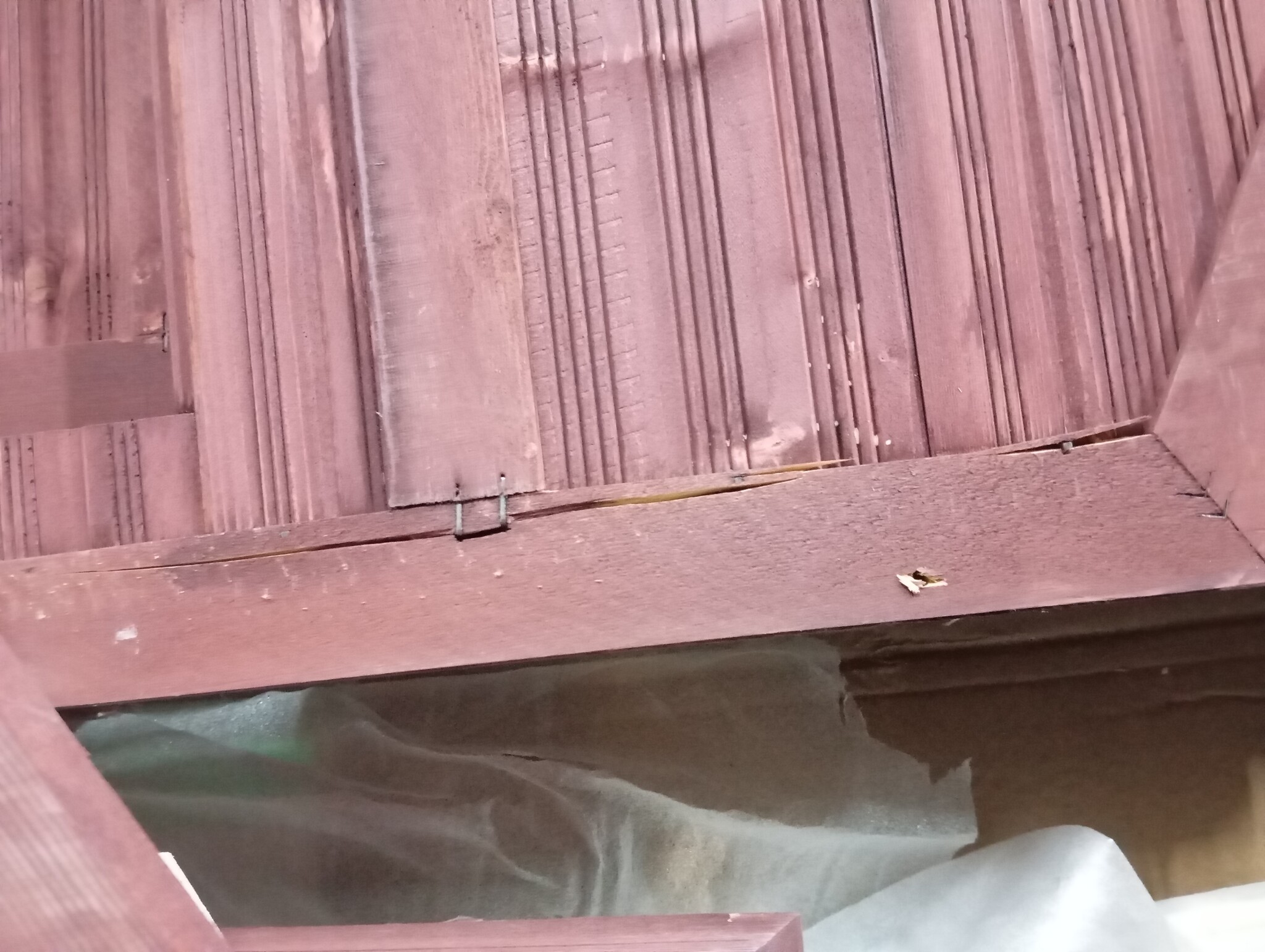 vidaXL Konijnenhok 140cm - Massief Hout - Nu 60% Korting!