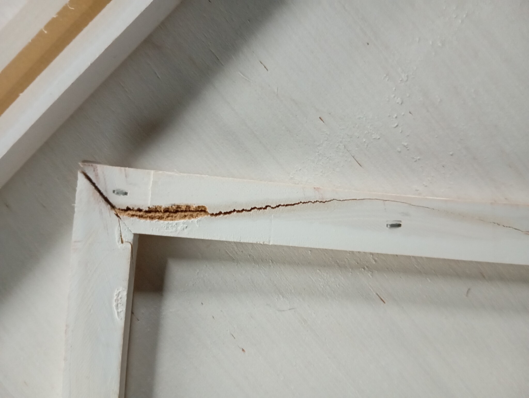 vidaXL Konijnenhok 140cm - Massief Hout - Nu 60% Korting!