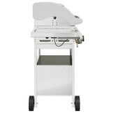 vidaXL Gasbarbecue 4 Branders RVS (40% Korting!)