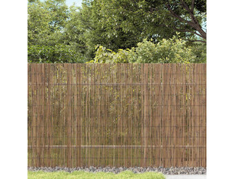 vidaXL Riet Omheining Bruin (400x160cm) - 55% KORTING!
