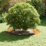 vidaXL Platte boomring Bruin Ø60/90 cm Cortenstaal - 40% Korting