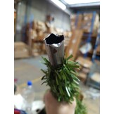 Kunstkerstboom 180cm Spar Groen - 40% Korting