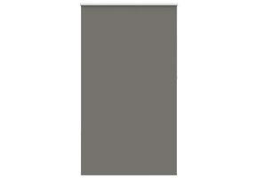 vidaXL Rolgordijn Verduisterend - Grijs - 120x210 cm - 67% KORTING