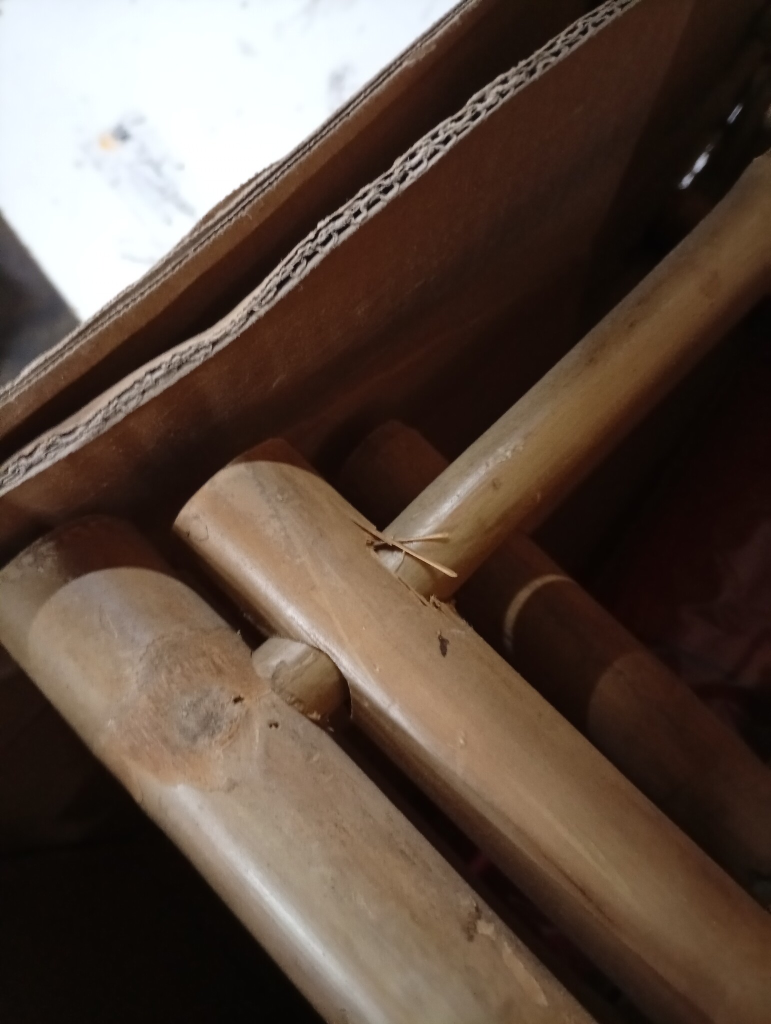 vidaXL Regisseursstoelen 2-st, Bamboe/Stof Rood - 67% Korting!