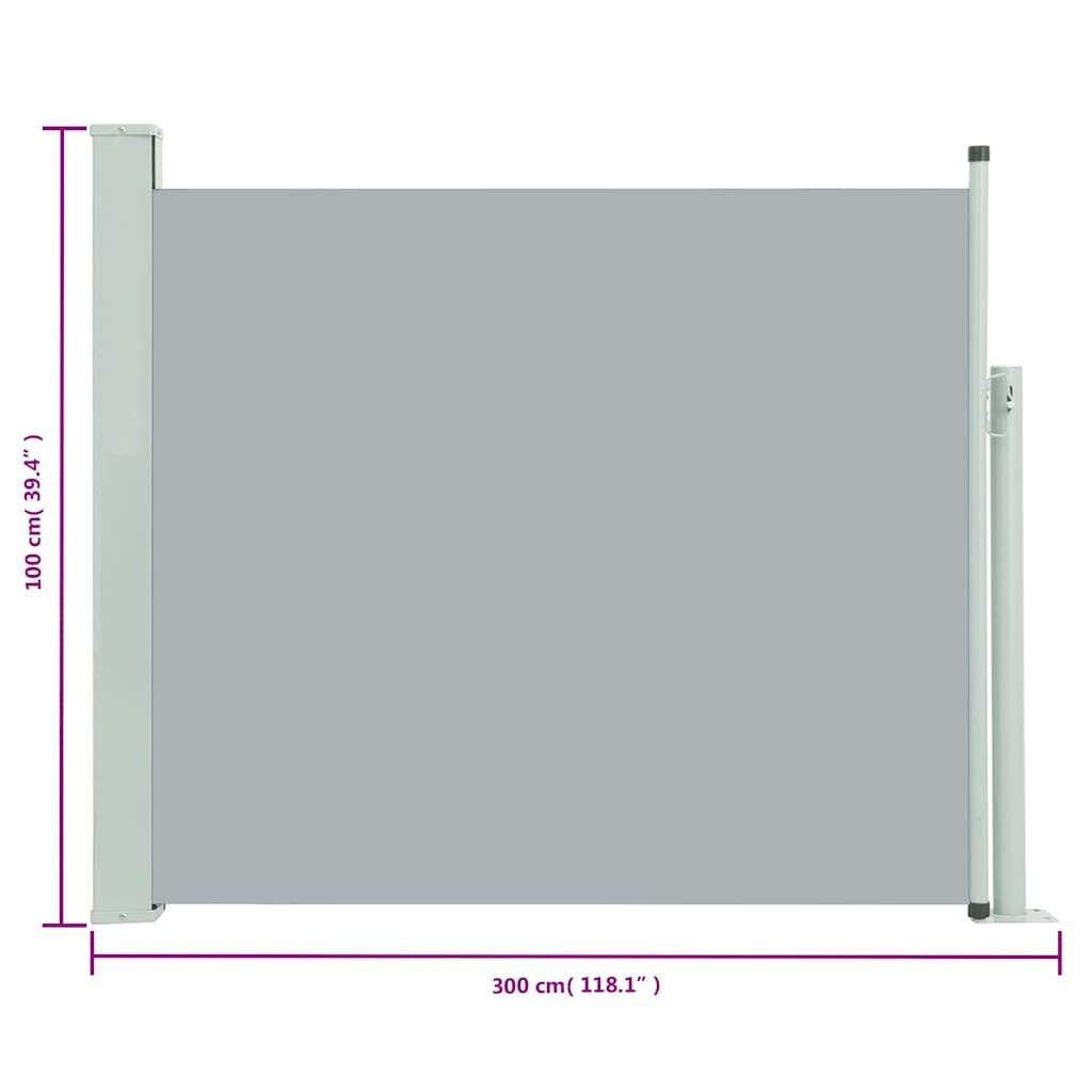 vidaXL Tuinscherm Uittrekbaar - 65% Korting - 100x300 cm Grijs