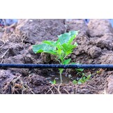 Druppelslang - Compleet Irrigatiesysteem - 100m - 76% Korting!