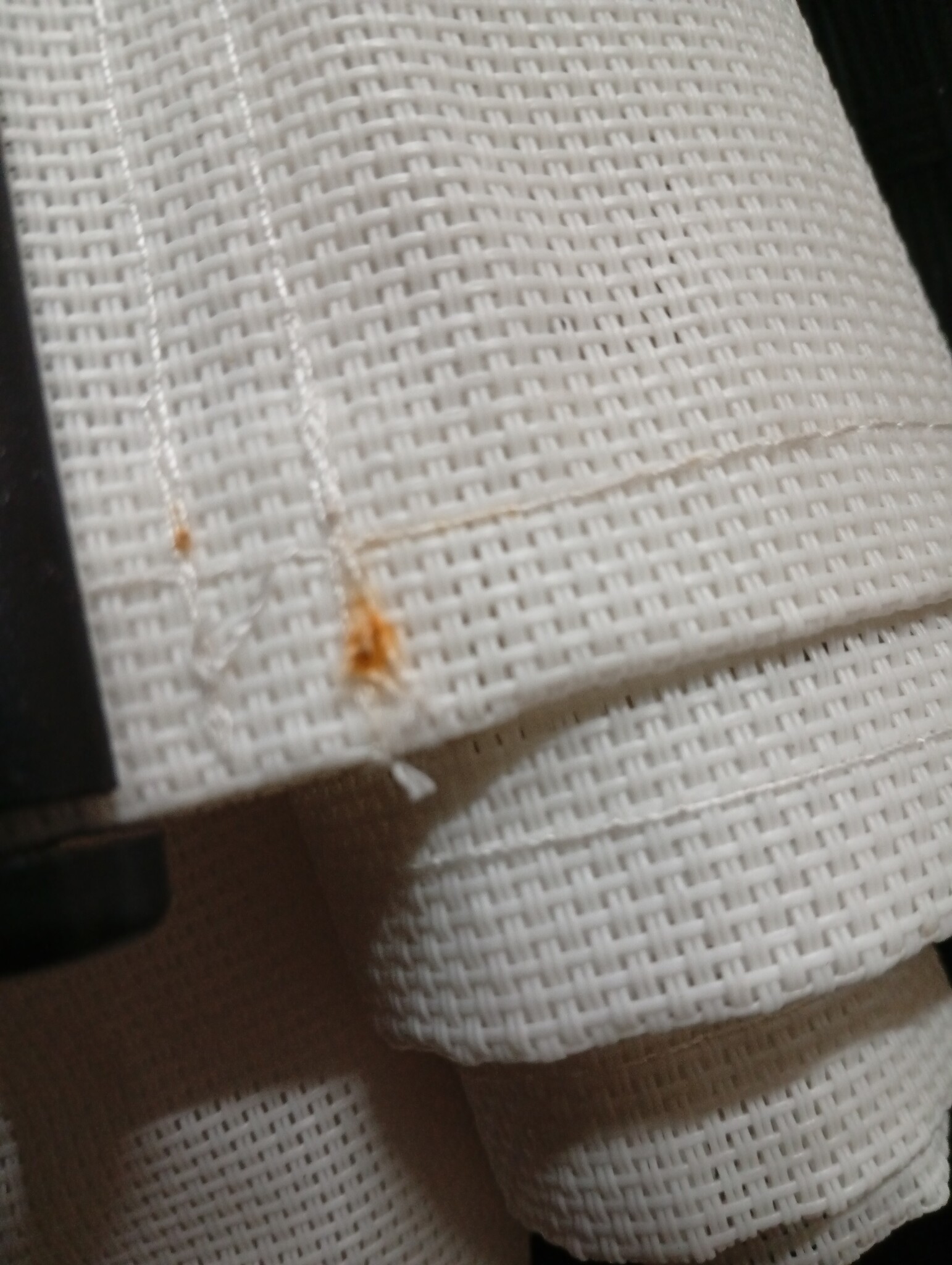 vidaXL Ligbed met Kussen - Poly Rattan Zwart | 55% Korting