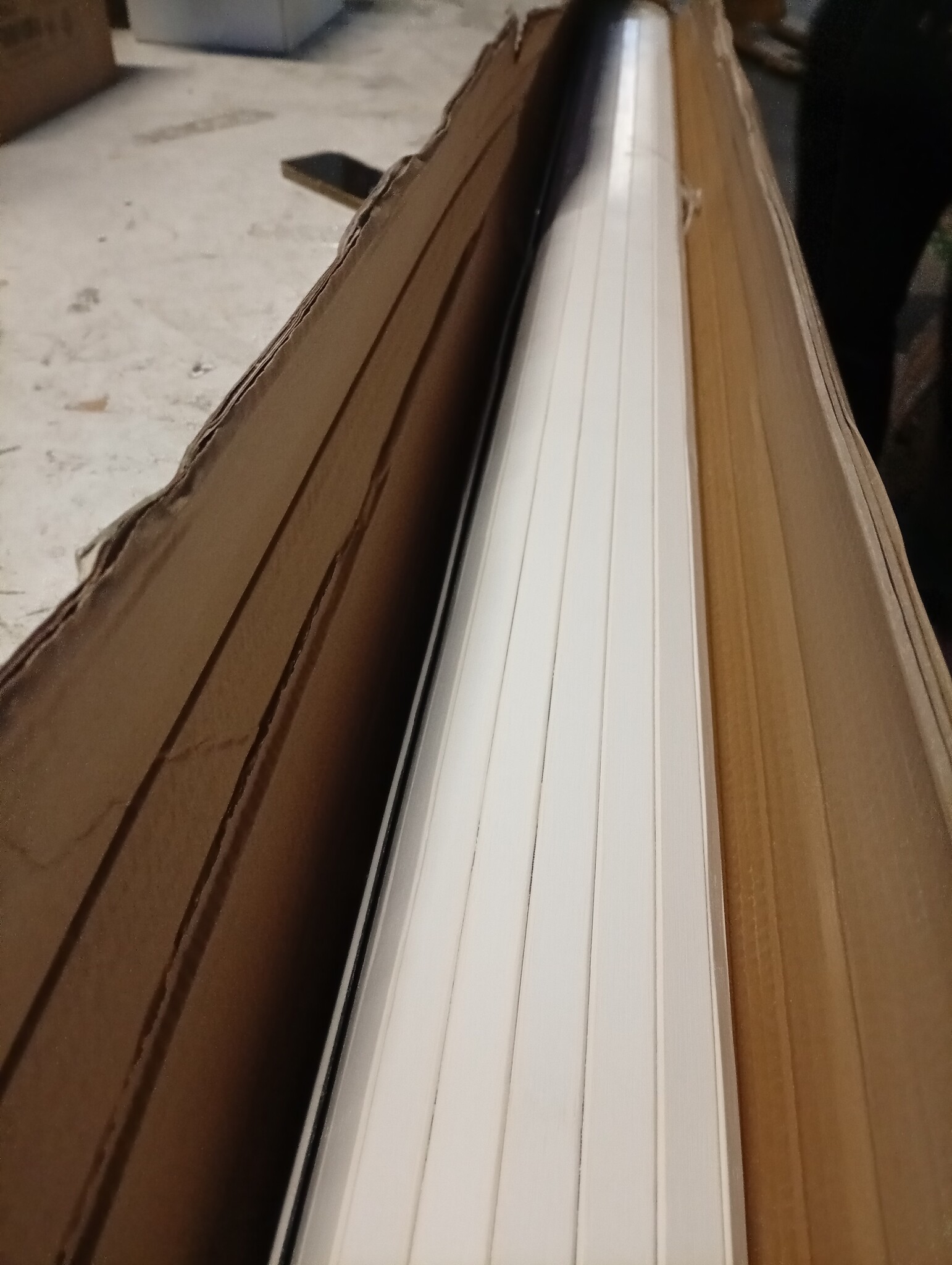 vidaXL Kamerscherm Bamboe Wit - 55% Korting!